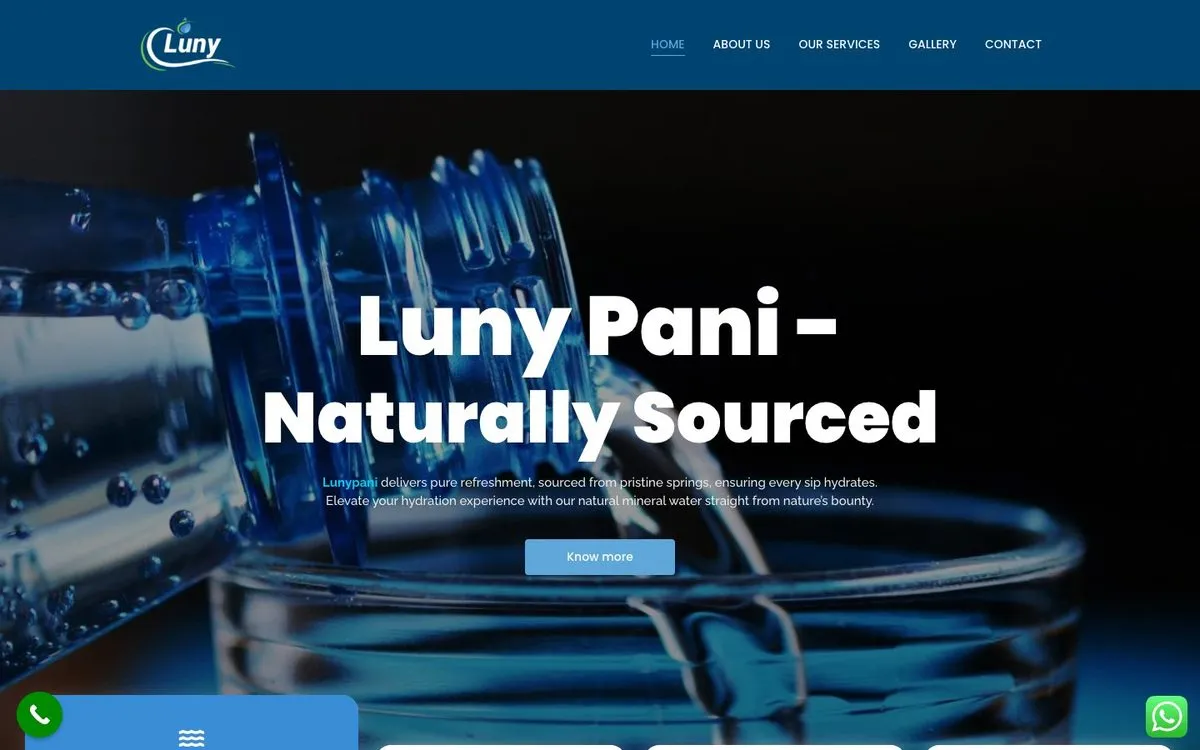 Luny Pani website homepage designed by GotechDigi
